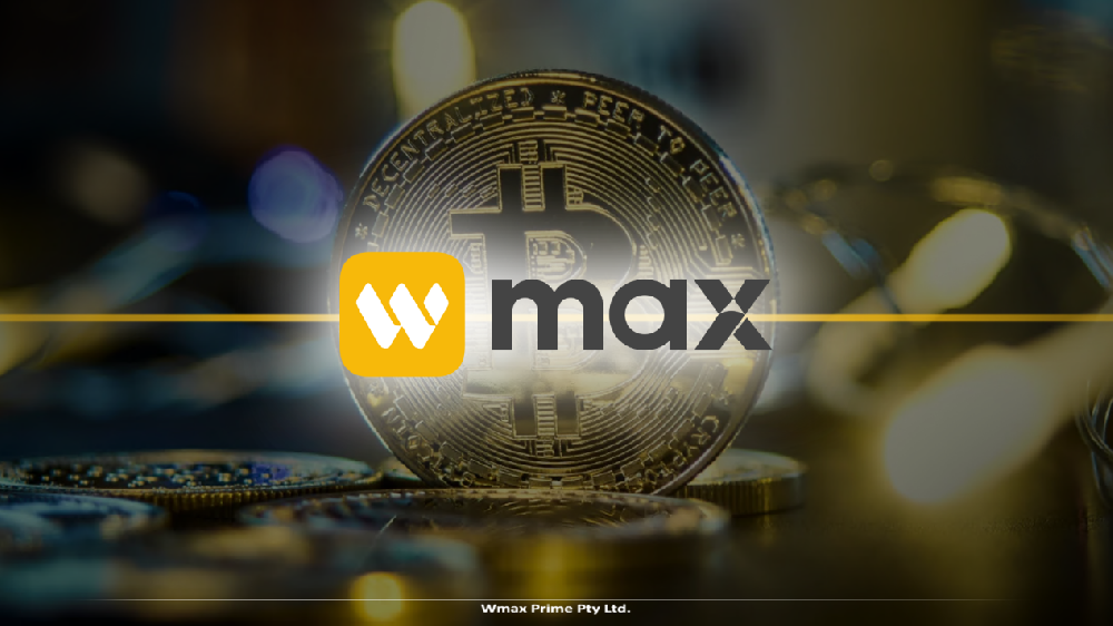 从认知到实战:WMAX投资者教育与成长体系解析
