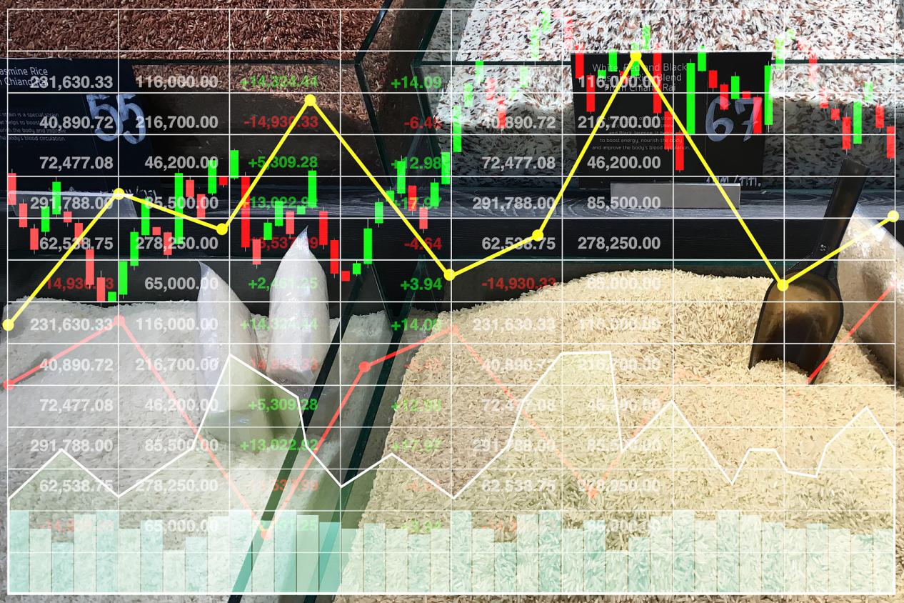 化解交易心理偏差：Wmax Broker助力金银交易者建立长期交易纪律